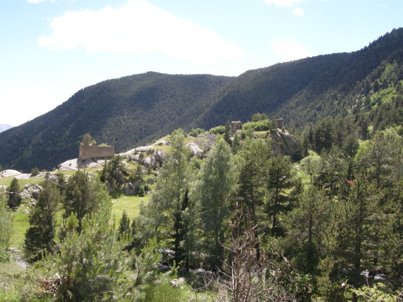 GR 107 559